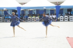 DSC_7534