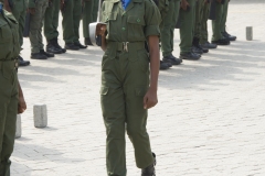 DSC_7355